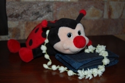 Lella Coccinella