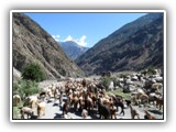 2012-06-12 SKARDU 1 - 017
