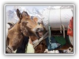 2012-06-21 Campo Base 1 - 007